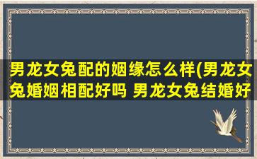 男龙女兔配的姻缘怎么样(男龙女兔婚姻相配好吗 男龙女兔结婚好不好)
